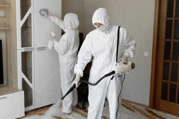 Best Mold Damage Repair  in Laupahoehoe, HI