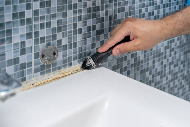 Mold Removal Process in Laupahoehoe, HI